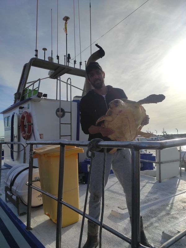 Asociación Medioambiental Amigos de los Espacios Naturales de Cádiz