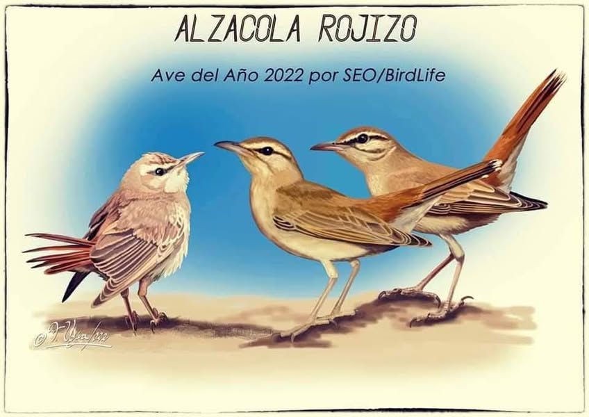 Asociación Medioambiental Amigos de los Espacios Naturales de Cádiz
