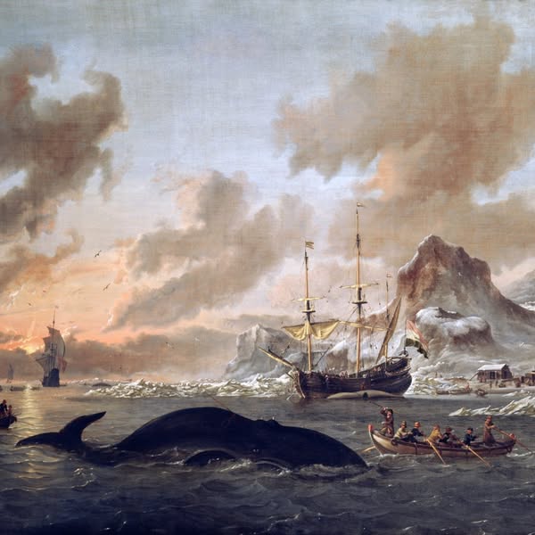 Asociación Medioambiental Amigos de los Espacios Naturales de Cádiz