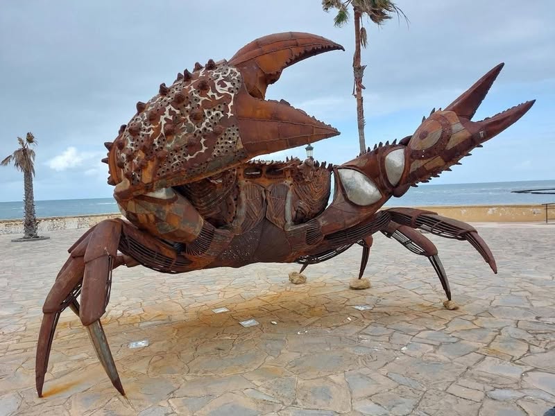 Asociación Medioambiental Amigos de los Espacios Naturales de Cádiz