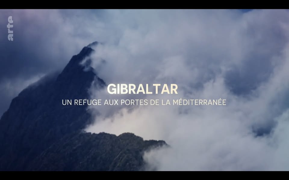 Asociación Medioambiental Amigos de los Espacios Naturales de Cádiz