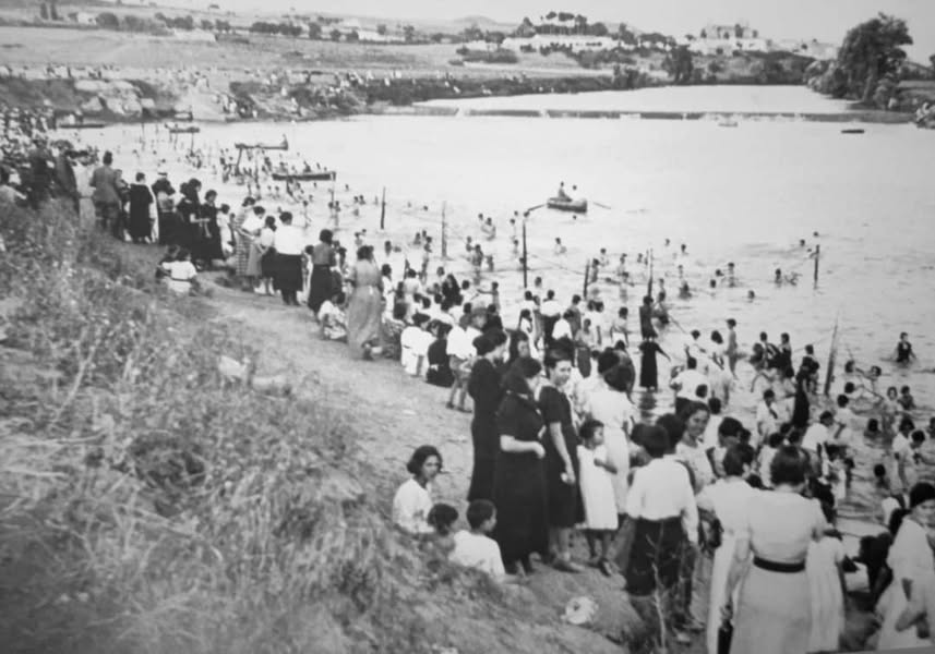 Asociación Medioambiental Amigos de los Espacios Naturales de Cádiz