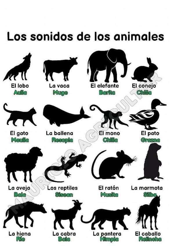 Asociación Medioambiental Amigos de los Espacios Naturales de Cádiz