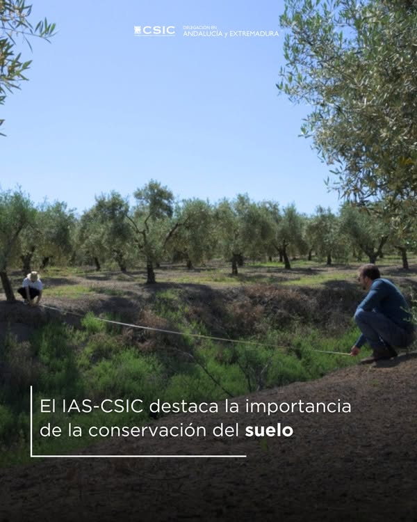 Asociación Medioambiental Amigos de los Espacios Naturales de Cádiz