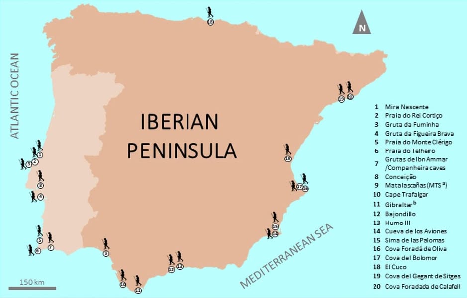 Asociación Medioambiental Amigos de los Espacios Naturales de Cádiz