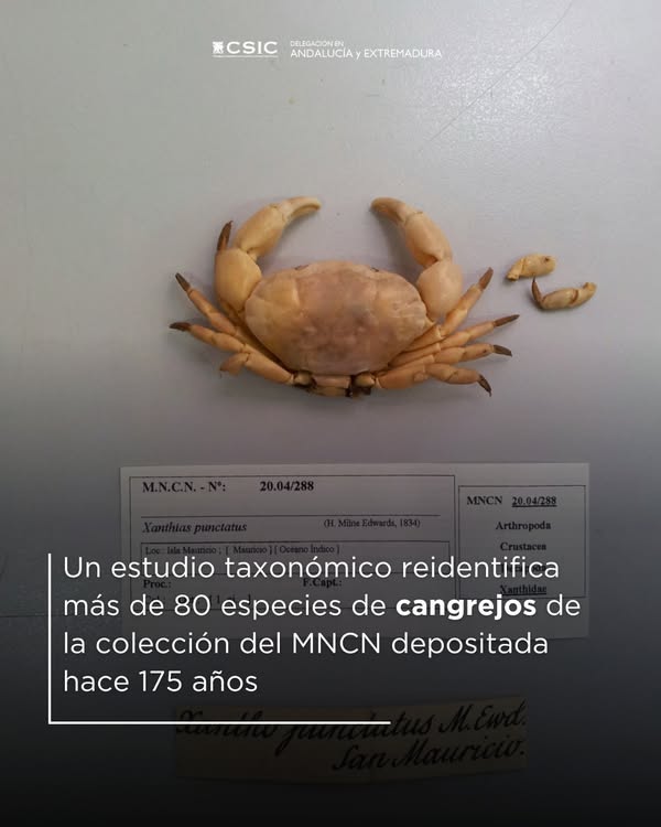 Asociación Medioambiental Amigos de los Espacios Naturales de Cádiz