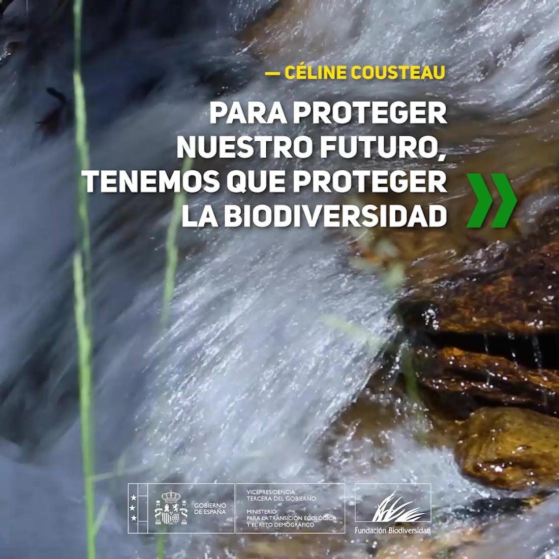 Asociación Medioambiental Amigos de los Espacios Naturales de Cádiz