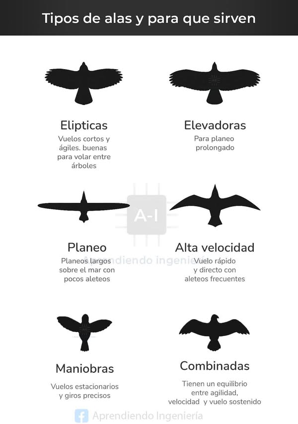 Asociación Medioambiental Amigos de los Espacios Naturales de Cádiz
