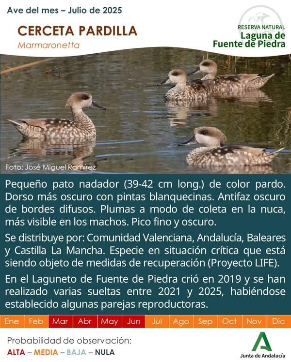 Asociación Medioambiental Amigos de los Espacios Naturales de Cádiz