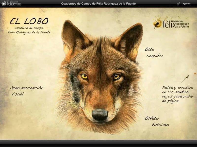 Asociación Medioambiental Amigos de los Espacios Naturales de Cádiz