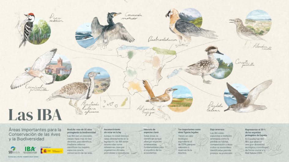 Asociación Medioambiental Amigos de los Espacios Naturales de Cádiz