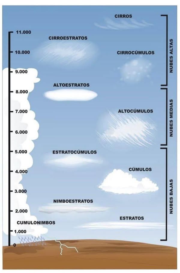 Asociación Medioambiental Amigos de los Espacios Naturales de Cádiz