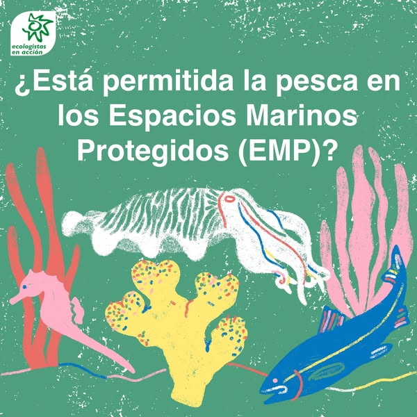 Asociación Medioambiental Amigos de los Espacios Naturales de Cádiz