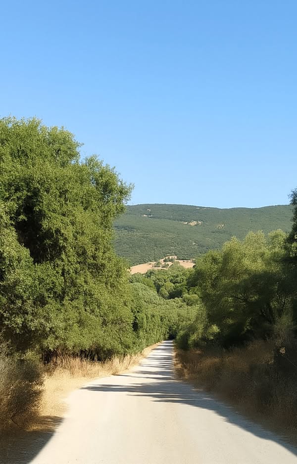 Asociación Medioambiental Amigos de los Espacios Naturales de Cádiz