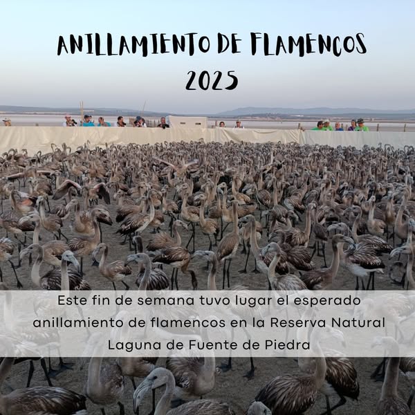 Asociación Medioambiental Amigos de los Espacios Naturales de Cádiz