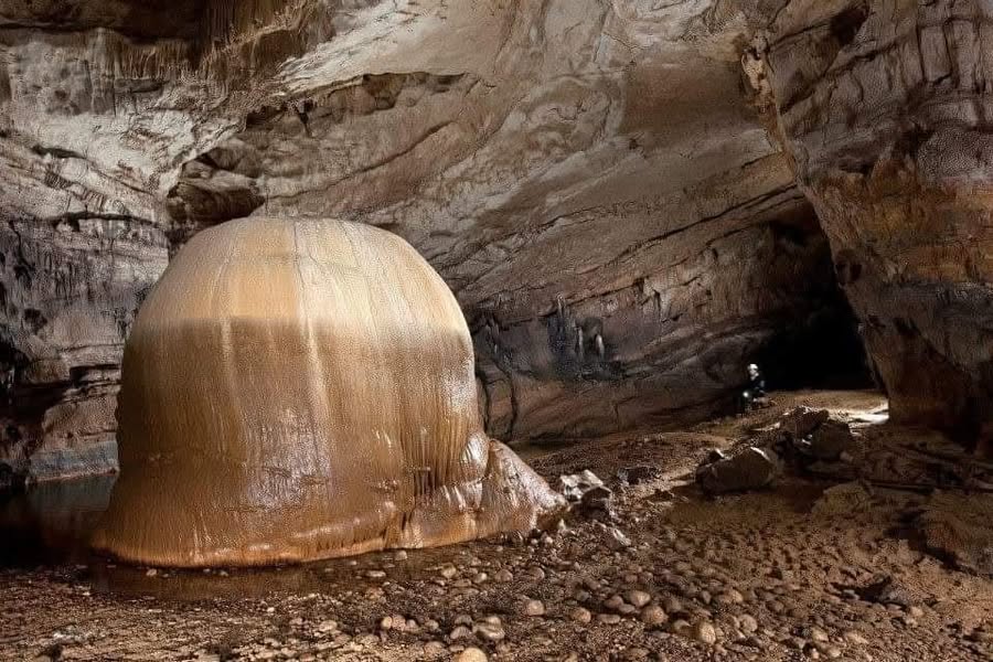 Asociación Medioambiental Amigos de los Espacios Naturales de Cádiz