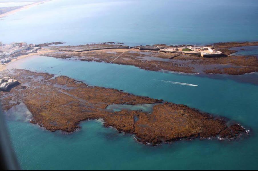 Asociación Medioambiental Amigos de los Espacios Naturales de Cádiz