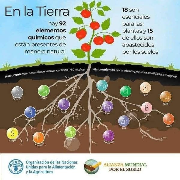 Asociación Medioambiental Amigos de los Espacios Naturales de Cádiz