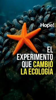 Asociación Medioambiental Amigos de los Espacios Naturales de Cádiz