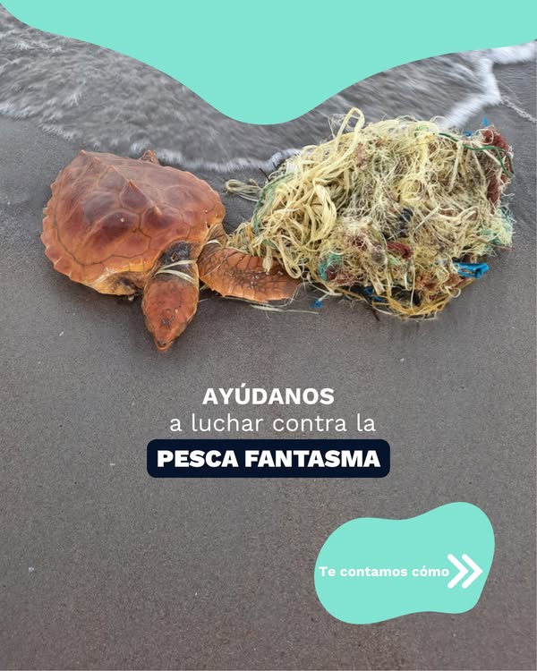 Asociación Medioambiental Amigos de los Espacios Naturales de Cádiz