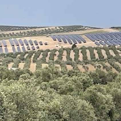Asociación Medioambiental Amigos de los Espacios Naturales de Cádiz