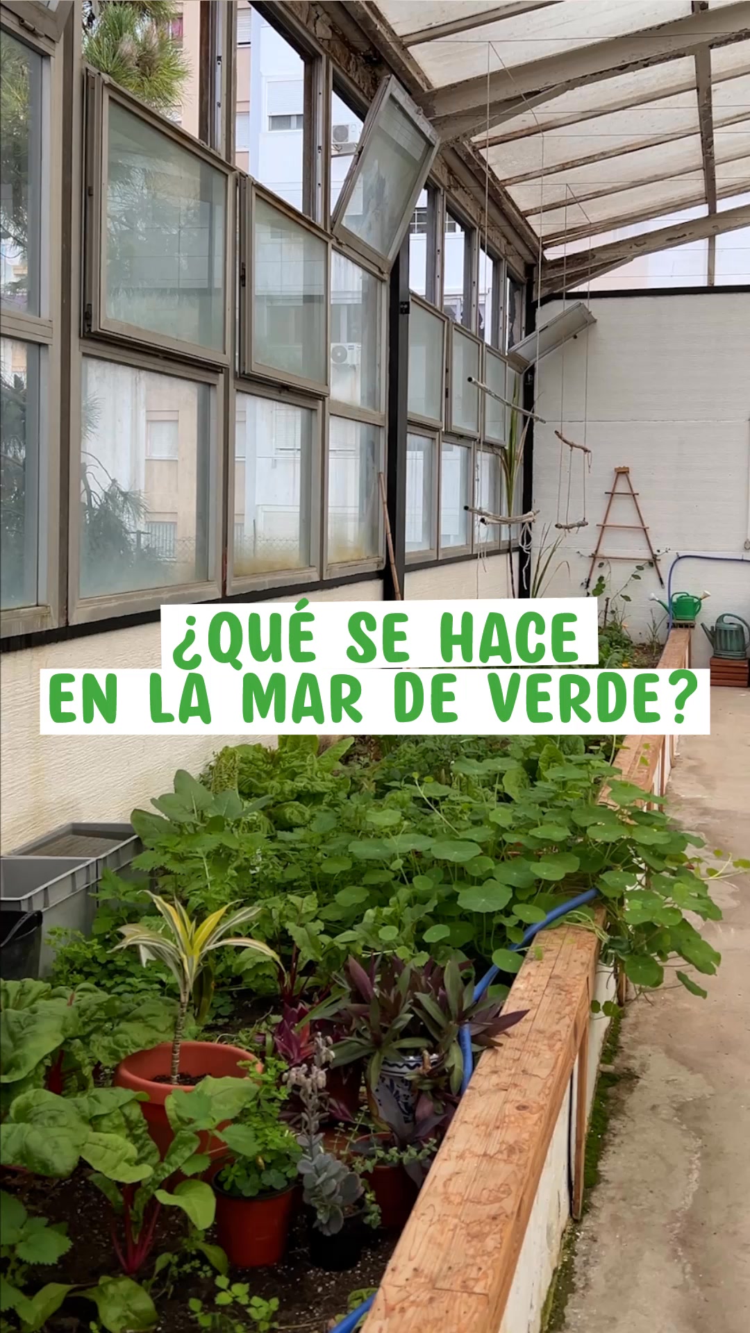 La Mar De Verde, Huertos Urbanos De Cádiz on Reels