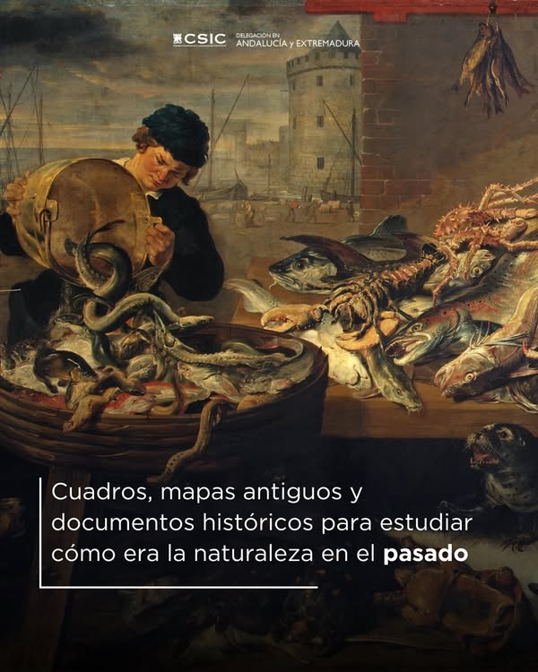 Asociación Medioambiental Amigos de los Espacios Naturales de Cádiz