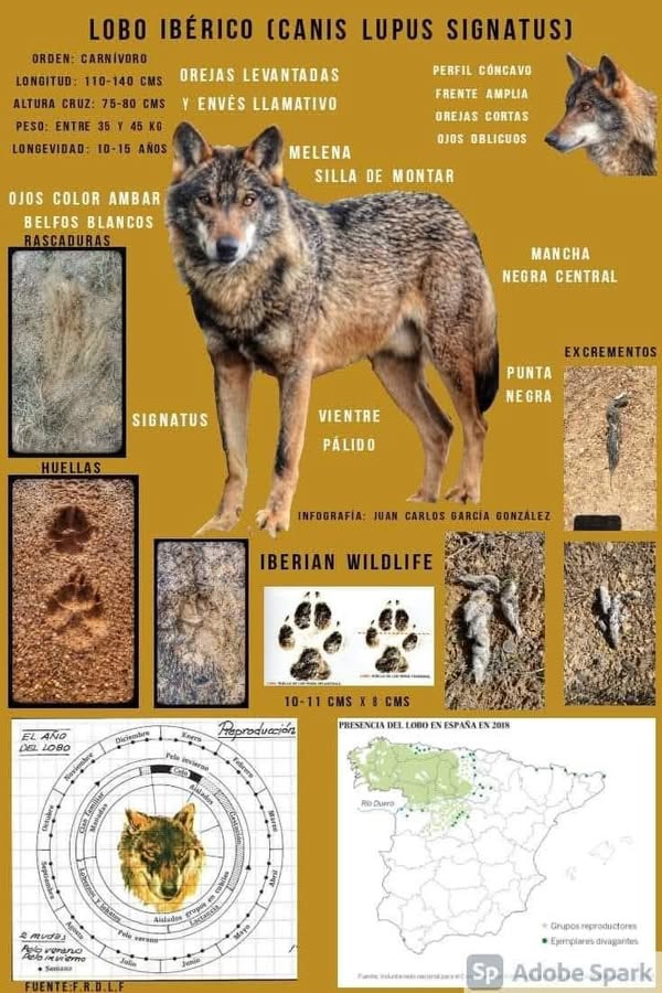 Asociación Medioambiental Amigos de los Espacios Naturales de Cádiz