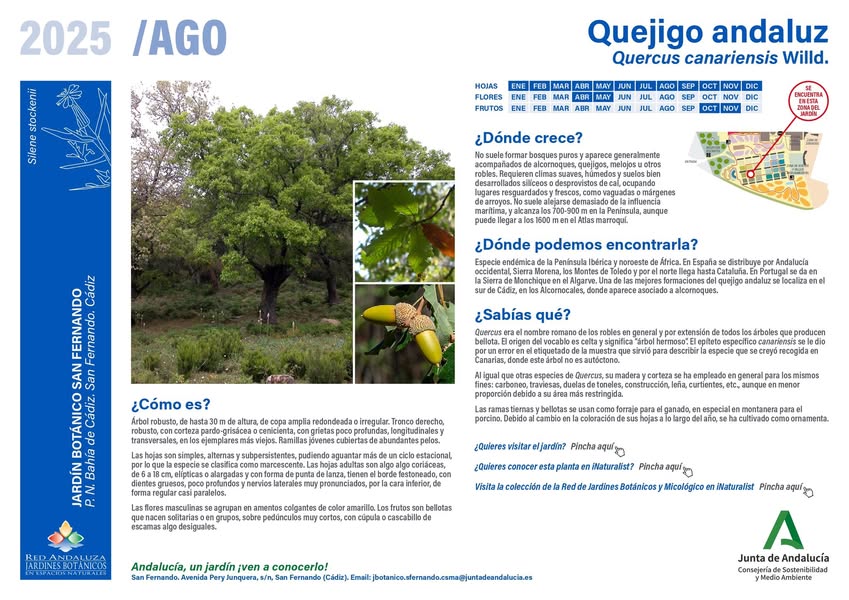 Asociación Medioambiental Amigos de los Espacios Naturales de Cádiz