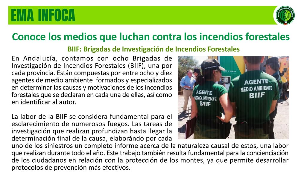 Asociación Medioambiental Amigos de los Espacios Naturales de Cádiz