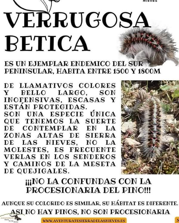 Asociación Medioambiental Amigos de los Espacios Naturales de Cádiz