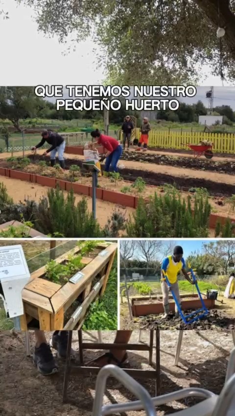 Asociación Medioambiental Amigos de los Espacios Naturales de Cádiz
