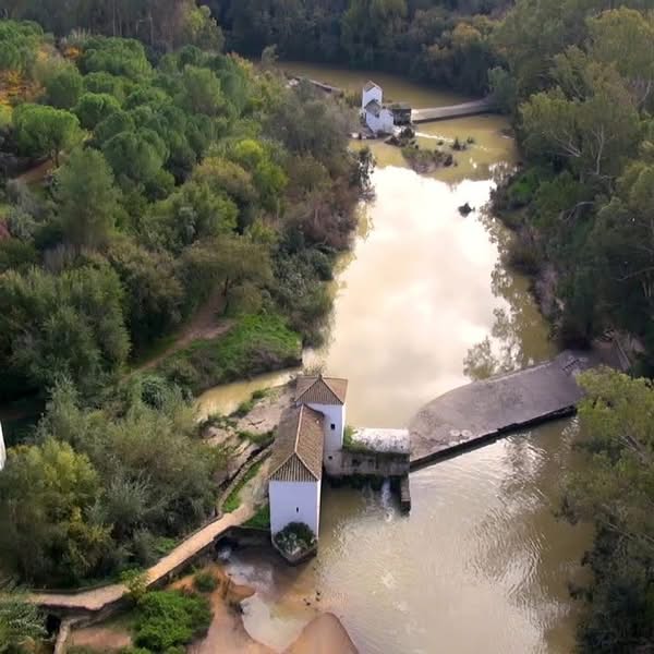 Asociación Medioambiental Amigos de los Espacios Naturales de Cádiz