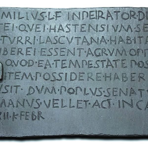 Asociación Medioambiental Amigos de los Espacios Naturales de Cádiz