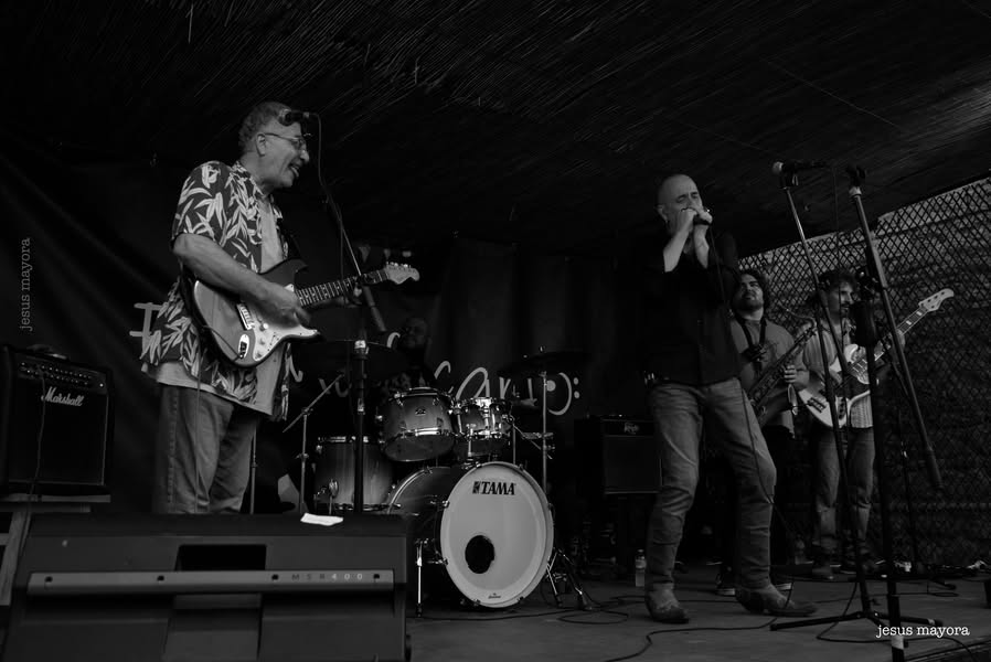 Asociación El Musicario