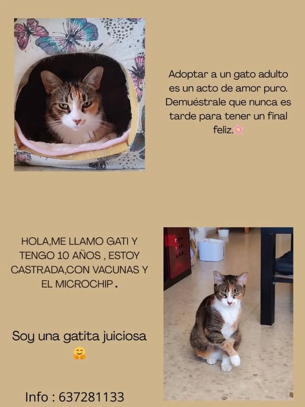 Asociación Intercultural Amazonas