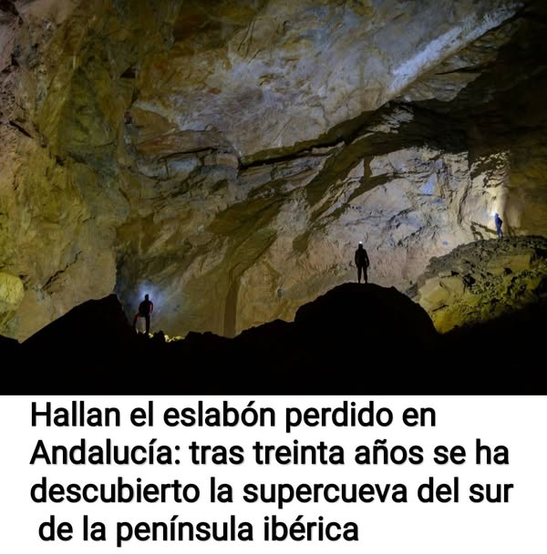 Asociación Medioambiental Amigos de los Espacios Naturales de Cádiz