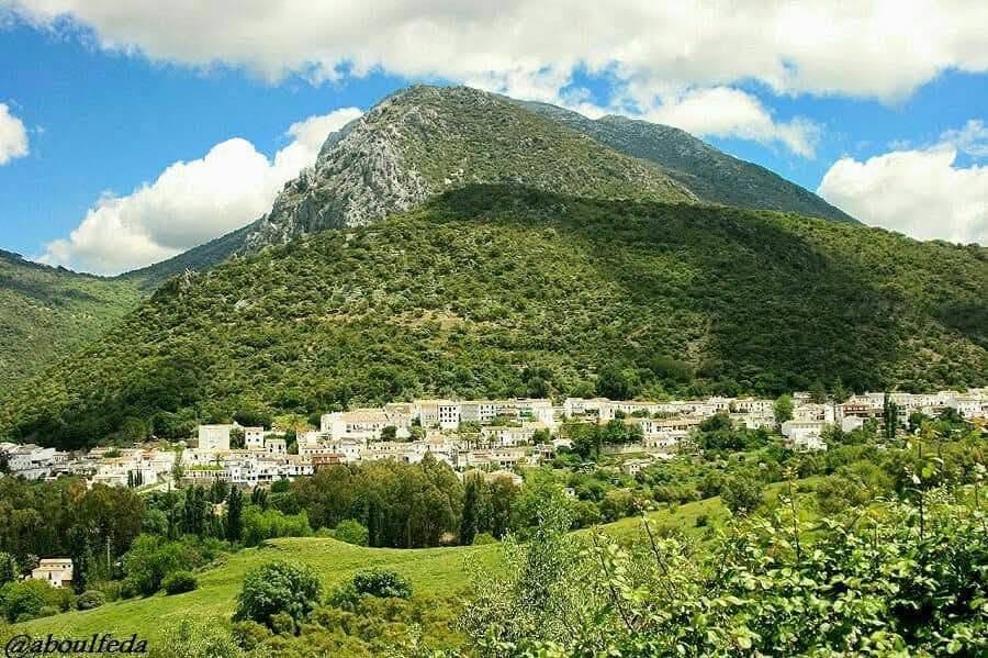 Asociación Medioambiental Amigos de los Espacios Naturales de Cádiz