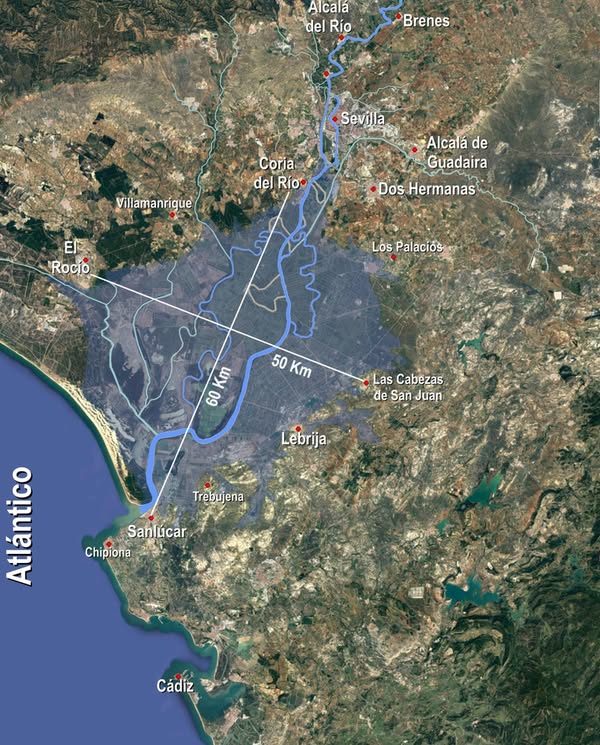 Asociación Medioambiental Amigos de los Espacios Naturales de Cádiz