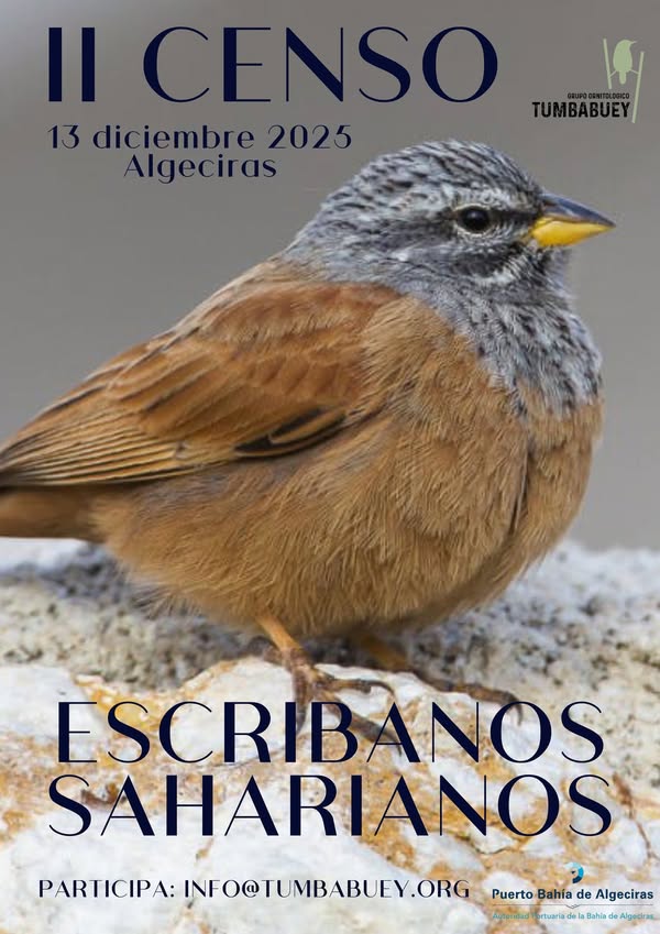 Asociación Medioambiental Amigos de los Espacios Naturales de Cádiz