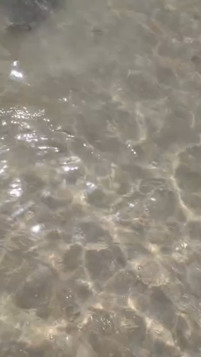15 Reaktionen | ️¡QUEDA INAUGURADA LA TEMPORADA PLAYERA EN PÁRKINSON CÁDIZ!️ Nuestra sede veraniega particular será el Módulo de los Delfines. Gracias al servicio integrado de playa por facilitar que podamos…